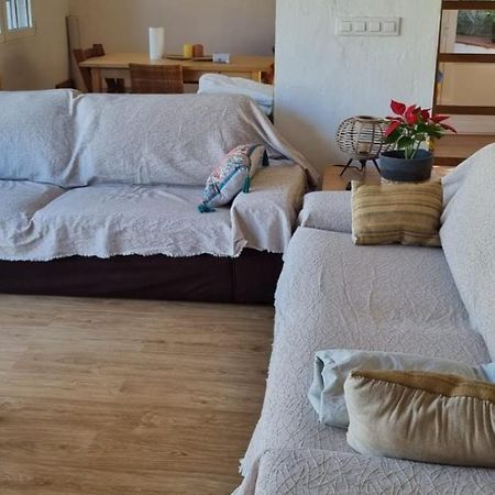 Agradable Casa Con Piscina Privada Y Jardin Villa Dénia Eksteriør billede