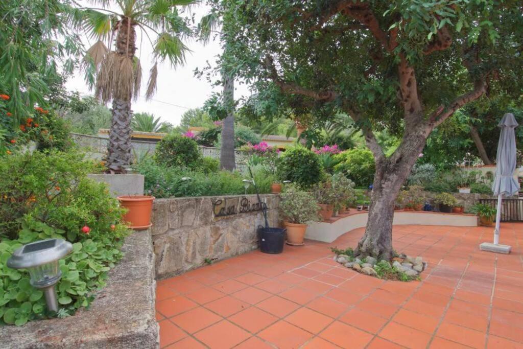 Agradable Casa Con Piscina Privada Y Jardin Villa Dénia Eksteriør billede